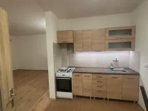 Pronájem bytu 1+kk, Prostějov, 49 m2