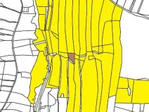 Prodej lesa, Vyskytná, 665 m2