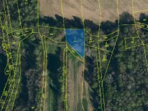 Prodej lesa, Vyskytná, 665 m2