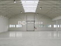 Pronájem skladu, Holubice, 1124 m2