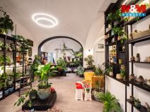 Pronájem obchodního prostoru, Pardubice - Zelené Předměstí, 17. listopadu, 96 m2