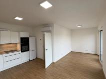 Pronájem bytu 1+kk, Přerov, Čechova, 39 m2