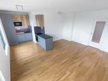 Prodej bytu 2+kk, Praha - Žižkov, Seifertova, 63 m2