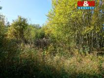 Prodej pozemku pro bydlení, Třebeň, 3689 m2