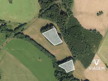 Prodej podílu lesa, Pustá Kamenice, 2849 m2