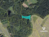 Prodej podílu lesa, Studnice, 2072 m2
