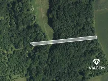 Prodej lesa, Hradčovice, 1362 m2