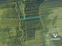 Prodej lesa, Hradčovice, 1362 m2