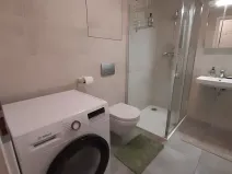 Pronájem bytu 1+kk, Praha - Žižkov, Hartigova, 39 m2