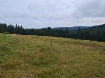 Prodej pozemku pro bydlení, Kvilda, 2500 m2