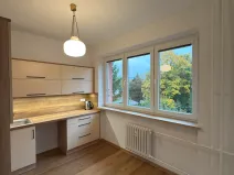 Pronájem bytu 2+1, Třinec, B. Němcové, 58 m2