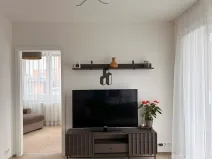 Pronájem bytu 2+kk, Praha - Žižkov, Olgy Havlové, 50 m2