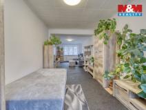 Prodej bytu 1+1, Habartov, Raisova, 50 m2