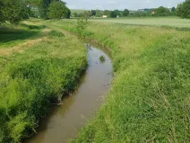 Prodej zahrady, Bučovice, 2010 m2