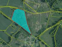 Prodej lesa, Studená, 12013 m2