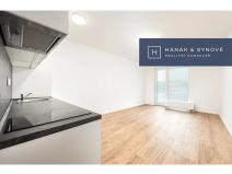 Pronájem bytu 1+kk, Brno, Chaloupkova, 30 m2