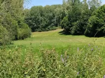Prodej louky, Babice, 45608 m2