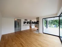 Pronájem rodinného domu, Praha - Řepy, U Lesoparku, 408 m2