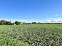 Prodej pozemku pro bydlení, Dašice, 14166 m2