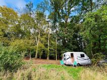 Prodej lesa, Postupice, 893 m2