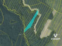 Prodej lesa, Fulnek, 9491 m2