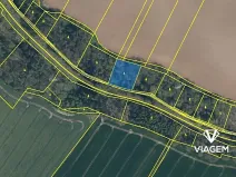 Prodej lesa, Katusice, 2456 m2