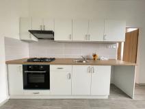 Pronájem bytu 2+1, Litvínov, K Loučkám, 66 m2