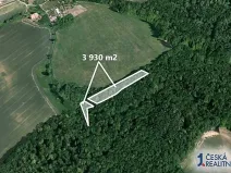 Prodej podílu lesa, Malhotice, 1965 m2