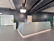 Pronájem kanceláře, Praha - Karlín, Thámova, 297 m2