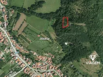 Prodej podílu lesa, Jabloňany, 1653 m2