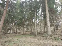 Prodej lesa, Francova Lhota, 5161 m2