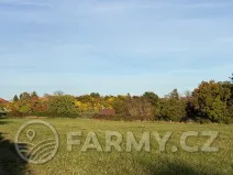 Prodej pole, Roztoky, 40596 m2