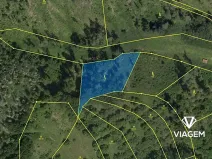 Prodej lesa, Obora, 2560 m2