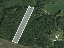 Prodej podílu lesa, Prštice, 1259 m2