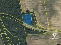 Prodej podílu lesa, Mladějov na Moravě, 1594 m2