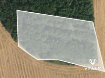 Prodej podílu lesa, Seloutky, 1150 m2