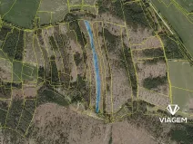 Prodej lesa, Heřmaneč, 7206 m2