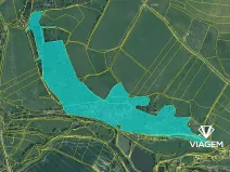 Prodej podílu lesa, Ždírec, 58785 m2