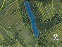 Prodej podílu lesa, Vranová Lhota, 1741 m2