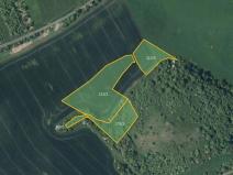 Prodej pole, Chotiměř, 11429 m2