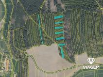 Prodej podílu lesa, Koloveč, 2599 m2