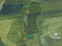 Prodej podílu lesa, Hradčovice, 985 m2