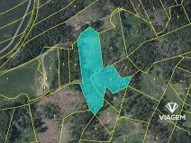 Prodej lesa, Bochovice, 10509 m2