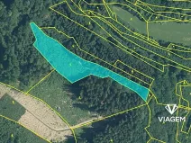 Prodej lesa, Leskovec, 7968 m2