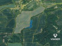 Prodej lesa, Lubenec, 7495 m2