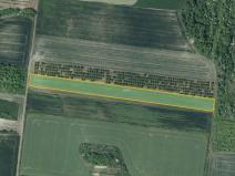 Prodej sadu/vinice, Želkovice, 8289 m2