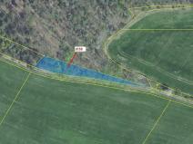 Dražba lesa, Nové Dvory, 953 m2