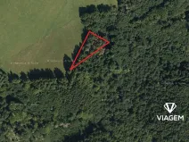 Prodej podílu lesa, Kosov, 548 m2