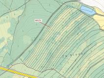 Dražba lesa, Netřebice, 6768 m2