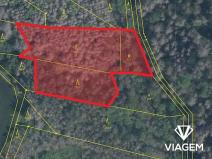 Prodej lesa, Slavičky, 3650 m2